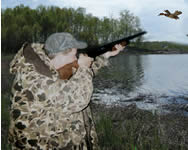 Duck shooter